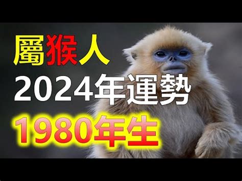 1980 屬猴|生肖猴: 性格，愛情，2024運勢，生肖1992，2004，2016